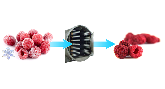 The Science Behind Freeze-Drying: Why It’s the Best Way to Preserve Your Fruits
