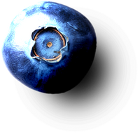 Background of fresh blueberries, highlighting the freshness and natural flavor of Freezie Fruits in every bite.