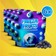 Blueberry Freeze Dried Fruit