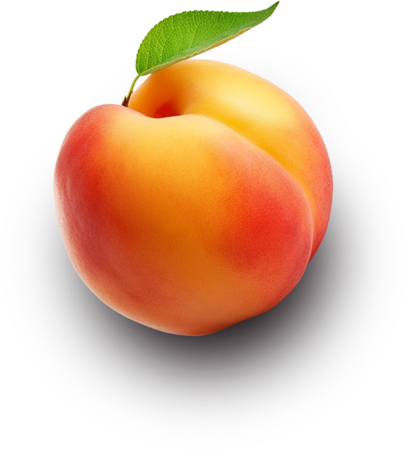 background shape